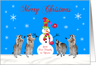 Christmas from Our Family to Yours, Four raccoons with snowman card