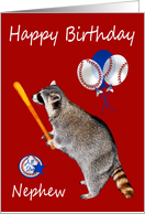 Birthday To Nephew, raccoon holding a baseball bat on red, balloons card
