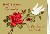 Sympathy on Loss Of Brother Card with a White Dove and a Red Rose card