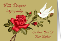 Sympathy For Loss Of Nephew, white dove with a red rose on light green card