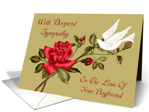 Sympathy For Loss Of Boyfriend, white dove with a red rose, green card