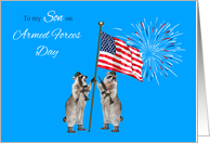 Armed Forces Day to Son, Armed raccoons with a a flag and fireworks card