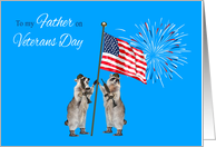 Veterans Day To Father, armed raccoons with flag and fireworks, blue card