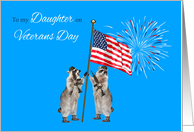 Veterans Day to Daughter, armed raccoons with flag and fireworks, blue card