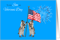 Veterans Day To Son, armed raccoons with flag and fireworks, blue card