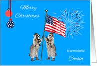 Christmas To Military Cousin, armed raccoons with flag, fireworks card