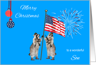 Christmas To Military Son, armed raccoons with flag and fireworks card