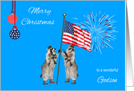 Christmas To Military Godson, armed raccoons with flag with fireworks card