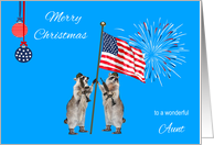Christmas To Military Aunt, armed raccoons with flag with fireworks card