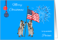 Christmas To Military Partner, armed raccoons with flag with fireworks card