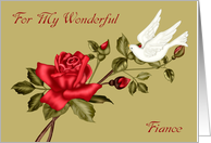 Love And Romance To Fiance, white dove with a red rose on light green card