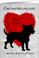 Sympathy for Loss Of Dog with a Silhouette of a Mixed Breed Dog card