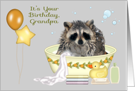 Birthday to Grandpa with a Soapy Raccoon in a Bathtub and Balloons card