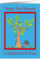 Rosh Hashanah to Sister and Husband with Raccoons Picking Apples card