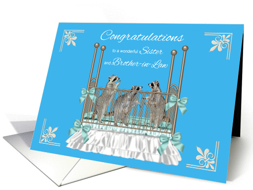 Congratulations To Sister And Brother-in-Law On Birth Of Triplets card