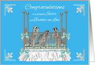 Congratulations To Sister And Brother-in-Law On Birth Of Triplets card