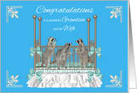 Congratulations To Grandson And Wife On Birth Of Triplets, raccoons card