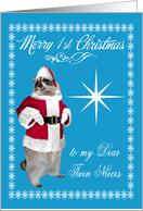 1st Christmas to Twin Nieces, raccoon Santa Claus, snowflakes card