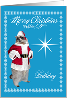 Birthday on Christmas, raccoon Santa Claus, snowflakes, star, blue card