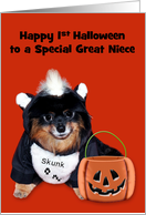 1st Halloween to Great Niece, Pomeranian in Skunk costume on orange card