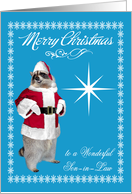 Christmas to Son-in-Law, raccoon Santa Claus, snowflakes on blue card