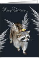 Christmas General Raccoon with Angel Wings and a Golden Halo card