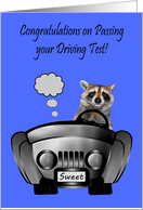 Congratulations On Passing Driving Test, Smiling Raccoon driving a car card