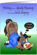 Get Well, Lasik Surgery, sick horse with a blue blanket and harness card