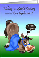 Get Well from Knee Replacement with a Sick Horse Wearing a Bridle card