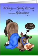 Get Well, Splenectomy, sick horse with blue blanket and harness card