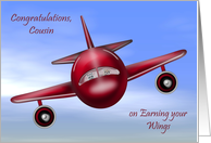 Congratulations To Cousin, pilot’s license, raccoons flying a plane card