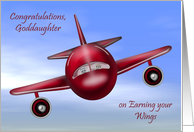 Congratulations To Goddaughter, pilot’s license, raccoons flying plane card