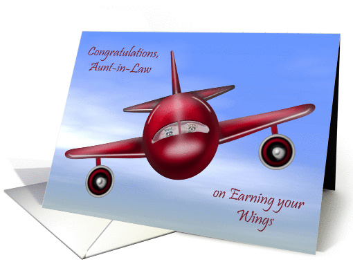 Congratulations To Aunt-in-Law, pilot's license, raccoons, plane card