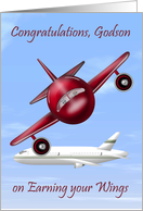 Congratulations To Godson, pilot’s license, raccoons flying a plane card