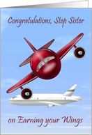 Congratulations To Step Sister, pilot’s license, raccoons flying plane card