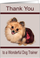 Thank You to Dog Trainer, general, Pomeranian with a big smile card