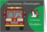 Congratulations to Granddaughter on Becoming a Firefighter Raccoon card