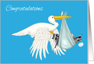 Congratulations, Twin Boys, Stork with raccoons in blue blanket card