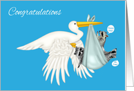 Congratulations, Triplet Boys, Stork with raccoons in blue blanket card