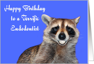 Birthday to Endodontist, Raccoon smiling with dentures on blue card