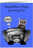 Congratulations to Granddaughter on Passing Driving Test with Raccoon card