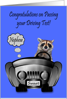 Congratulations to Nephew on Passing Driving Test with a Raccoon card
