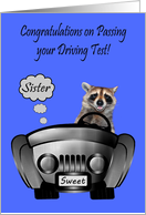 Congratulations, Passing Driving Test, Sister, Raccoon driving a car card
