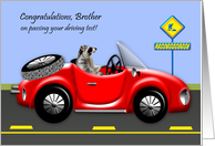 Congratulations to Brother, On Passing Driving Test, Raccoon in car card