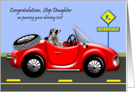 Congratulations to Step Daughter, passing driving test, Raccoon in car card