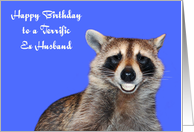 Birthday to Ex Husband with a Raccoon Smiling Showing Pearly Whites card