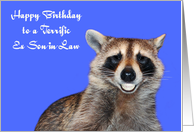 Birthday to Ex Son in Law with a Raccoon Smiling with Pearly Whites card