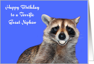 Birthday to Great Nephew with a Raccoon Smiling with Pearly Whites card