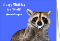 Birthday To Housekeeper, Raccoon smiling with pearly white dentures card