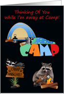 Thinking Of You from Child Away At Summer Camp, raccoons camping card